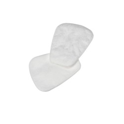 Particulates filters (pair)...